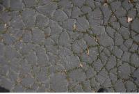 Photo Texture of Ground Asphalt 0007